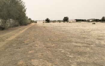مزرعه 20 فدان على طريق مصر اسكندريه الصحراوي