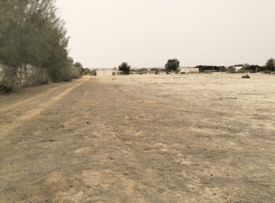 مزرعه 20 فدان على طريق مصر اسكندريه الصحراوي